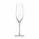 Copa Champagne Mr Rennaissance 327 ml.